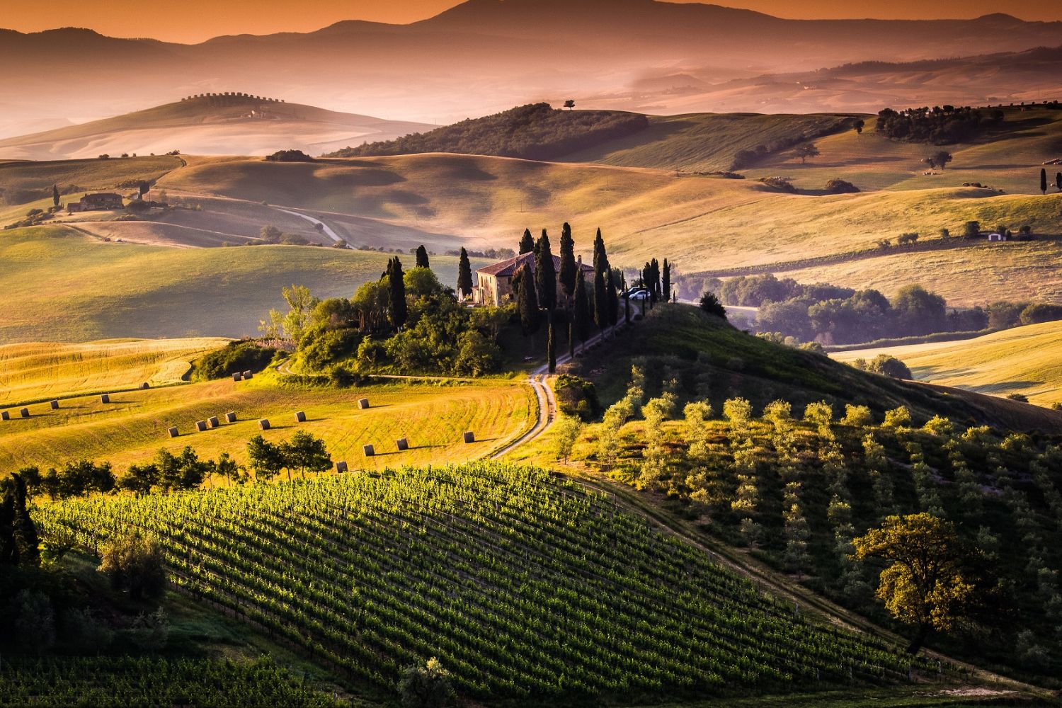 Discover the secrets of Chianti