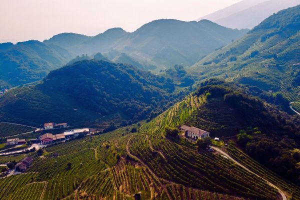 Colline Prosecco
