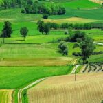 Langhe e Monferrato