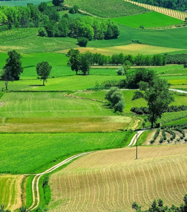 Langhe e Monferrato