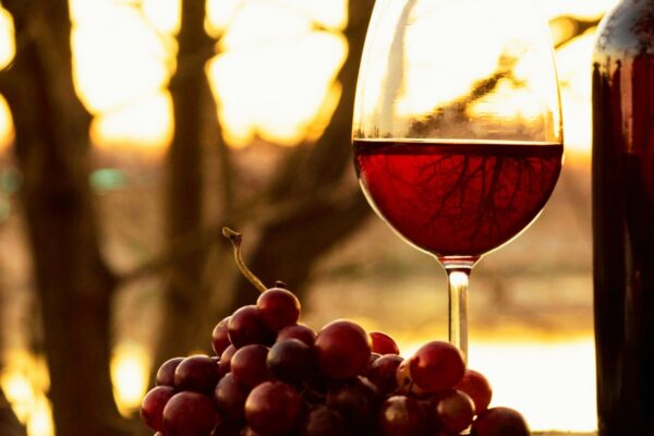 Barolo, Brunello, Amarone: tre grandi vini, tre anime dell’Italia - Italian Traditions