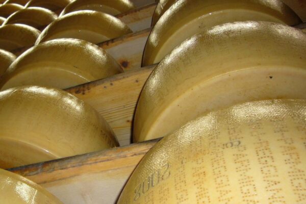 Parmigiano Reggiano, mille anni di Italia racchiusi in una forma - Italian Traditions
